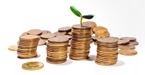 广州公积金新政严控提取条件，打击炒房行为