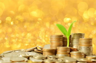 从医者到巨富 揭秘河南新女首富的资产管理之路