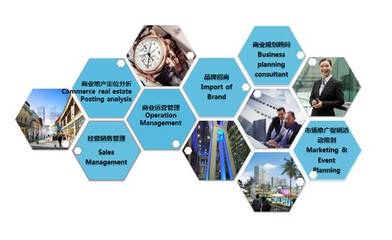 三大品牌布局四大区域，花样年商业目标 2020年运营14个项目，强化投资管理